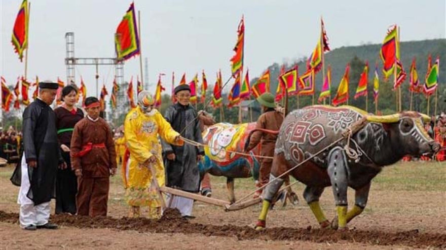 Traditional ploughing festival held to pray for bumper crops
